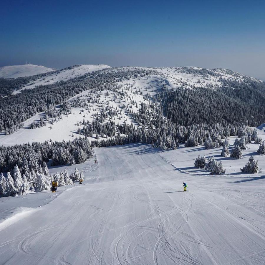 Ski & Spa Apartment S20 Milmari Resort Kopaonik Exterior photo